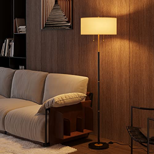 2-Light 3 Color Temperature Mid Century Floor Lamp for Living Room - color: Black & Glod