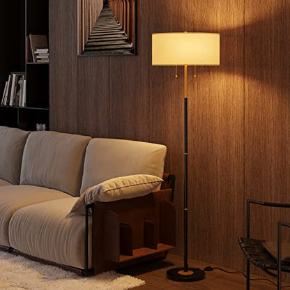 2-Light 3 Color Temperature Mid Century Floor Lamp for Living Room - color: Black & Glod