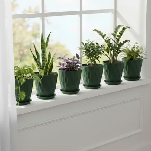 8 Inch Plastic Plant Pots for Plants with Drainage Holes and Saucer, 6 Pack - color: Deep Green 8 Inch