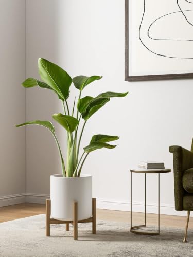 LE TAUCI 10+8+6 Inch Ceramic Pots for Plants, Indoor Planters with Drainage Hole and Plug, Modern Cylinder Flower Pots Set of 3 for Living Room and Bedroom, Satin, White - color: White