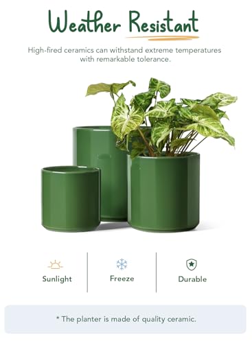 LE TAUCI 10+8+6 Inch Ceramic Pots for Plants, Indoor Planters with Drainage Hole and Plug, Modern Cylinder Flower Pots Set of 3 for Living Room and Kitchen, Glossy, Bamboo Green - color: Bamboo Green