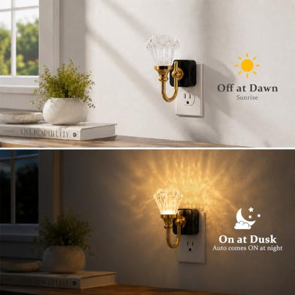 JandCase Night Light, Night Lights Plug into Wall, Crystal LED Nightlight - color: Diamond Flower