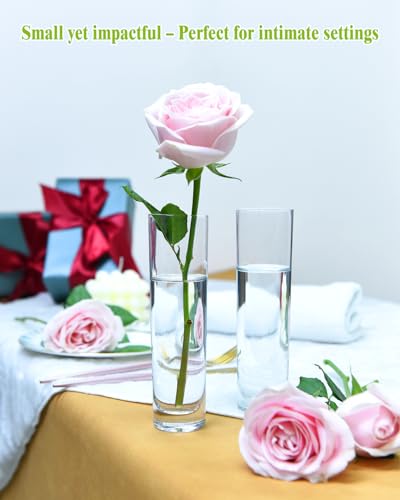 16PCS Glass Cylinder Bud Vases, 7.48" H x 1.81" W, Clear