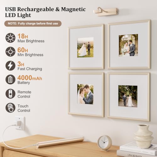 Picture Light for Wall, 4000mAh, 13.8 Inch, 2 Pack, Mocha Gold - color: Mocha Gold