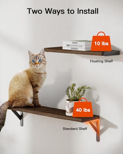 Amada Solid Paulownia Wood Wall Shelves, Large Size, 6 Pcs, Brown - color: Brown, size: Large