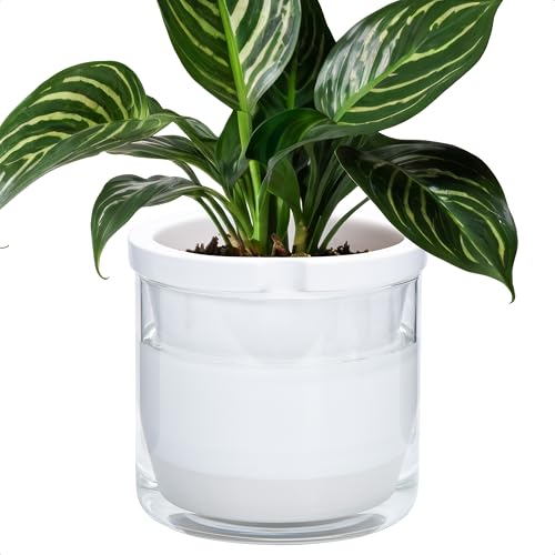 D'vine Dev Self-Watering White Terracotta Planter Pot, 8 in, 37-X-C-2 - color: White, size: 8 Inch