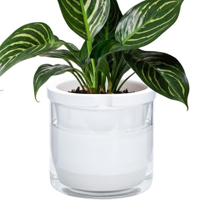 D'vine Dev Self-Watering White Terracotta Planter Pot, 8 in, 37-X-C-2 - color: White, size: 8 Inch