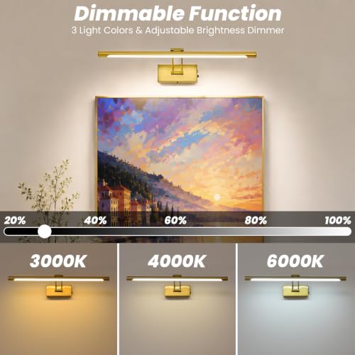Battery Operated Picture Light for Wall,Gold Brushed 23.6-Inch - color: Gold, size: 23.6 Inch