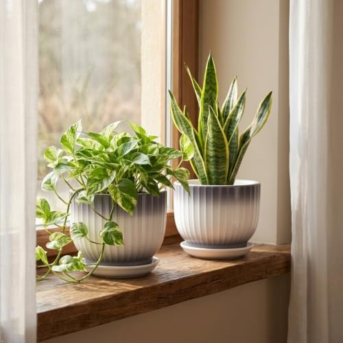 Ceramic Plant Pots, 6.7 Inch, Gray+White, Set of 2 - color: Gray + White, size: 6.7 Inch(2 PCS)