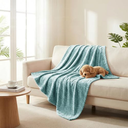 Exclusivo Mezcla Soft Fleece Blanket Queen Size for Bed, Sofa, Celadon - color: Celadon, size: Queen ( 90x90 IN )
