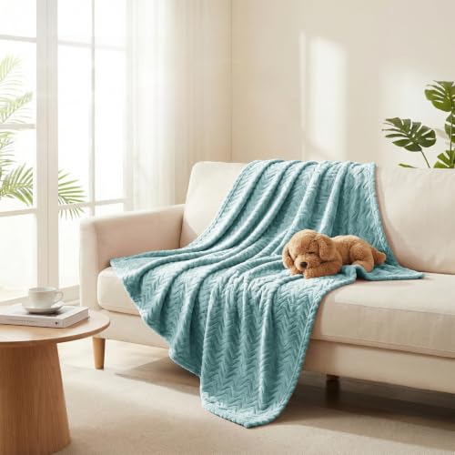 Exclusivo Mezcla Soft Fleece Blanket King Size for Bed, Sofa, Celadon - color: Celadon, size: King ( 90x104 IN )