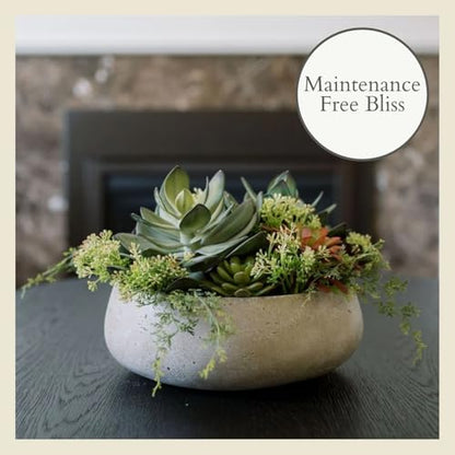 CG Hunter, Round Faux Succulent Arrangement, 14 in, Natural, Home Decor - size: 14" Round Natural