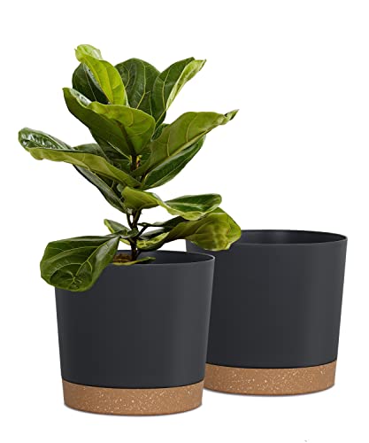 kubvici Plant Pots for Indoor Plants, 2 Pack 8 Inch Flower Pot (8” Black) - color: Black, size: 8 inch
