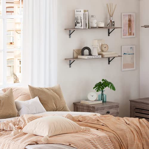 DINZI LVJ Long Wall Shelves, 31.5" Wall Mounted Shelves with Metal Brackets - color: Greige, size: 31.5 Inch