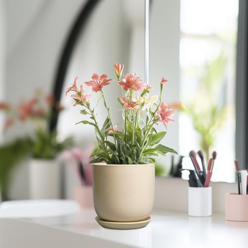 Ceramic Flower Pot 5 Inch - Round Succulent Planter for Indoor Plants with Drainage Hole and Saucer, Patio Room House Office Home Decor, Yellow - color: Beige, size: 5.3 Inch