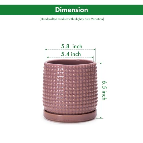 D'vine Dev Beaded Ceramic Pot with Saucer, 6 in, Blush Mauve, 27-C-X-K - color: Blush Mauve, size: 5.8 Inch