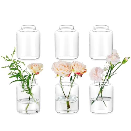 Glasseam Bud vases Set of 6: Glass Vases for Centerpieces Modern Small Vases for Home Table Shelf Wedding Party Decoration - Clear Vase for Flowers Stem Roses Tuilps Cuttings - size: 6Pcs