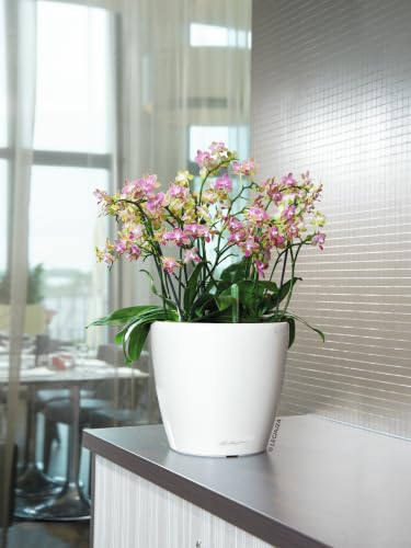 Lechuza 16060 Classico LS 35 Self-Watering Planter, White High Gloss - color: White High-gloss, size: D35 H33 cm
