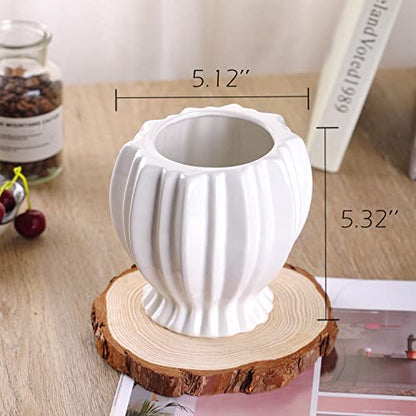VanEnjoy 6 inch Modern Ribbed Design Small White Ceramic Decorative Tabletop Centerpiece Vase Flower Pot - White Spiral - style: Tropical