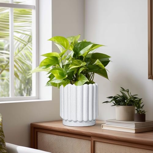Ceramicfor Ceramic Planter, 7.6 Inch, White - color: Matte White, size: 7.6 Inch