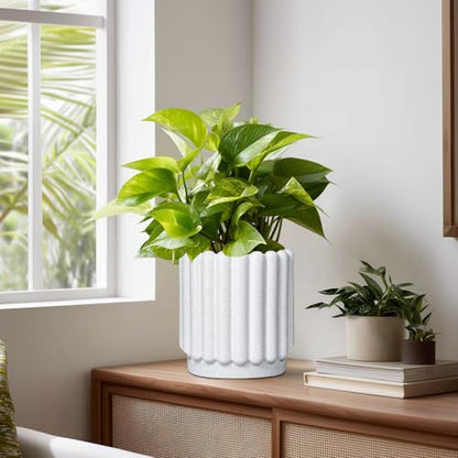Ceramicfor Ceramic Planter, 7.6 Inch, White - color: Matte White, size: 7.6 Inch