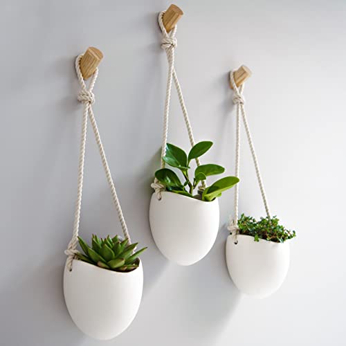 Kazai.® | Porcelain Wall Vases | 3 Piece Set | Including Wooden Hooks | Matte White - color: White (Matte), size: Set of 3 - Large