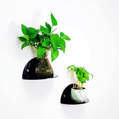 ROYALITA 2-Pack Small Acrylic Shelves Room Decor Floating Shelves, Black - color: Black