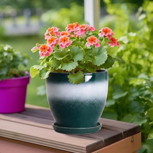 Ceraimc 6 Inch Planters, Ceraimc Pots for Plants, Green-White - color: Green-white, size: 6 Inch