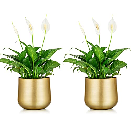 NUPTIO Metal Flower Plant Pot with Drainage Hole, 5.71", 2 Pcs - color: Style 1#, size: 5.7in Tall-2pcs