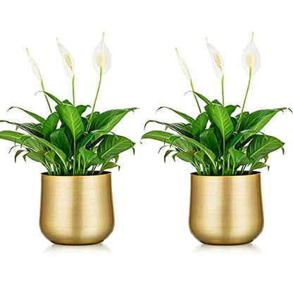 NUPTIO Metal Flower Plant Pot with Drainage Hole, 5.71", 2 Pcs - color: Style 1#, size: 5.7in Tall-2pcs