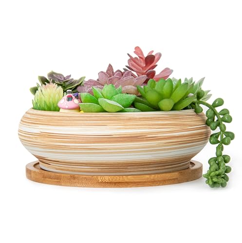 Succulent Pots, Ceramic Bonsai Pots with Tray, 7.3 Inch Large Plant Pots - color: Wooden Pattern