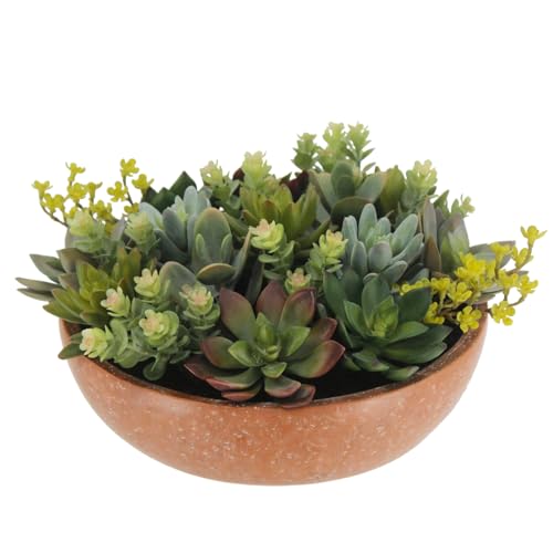 CG Hunter, Round Faux Succulent Arrangement, 11 in, Terracotta, Home Decor - size: 11" Round Terracotta