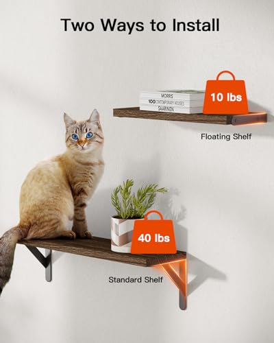 Amada Solid Paulownia Wood Wall Shelves, Medium Size, 6 Pcs, Brown - color: Brown, size: Medium