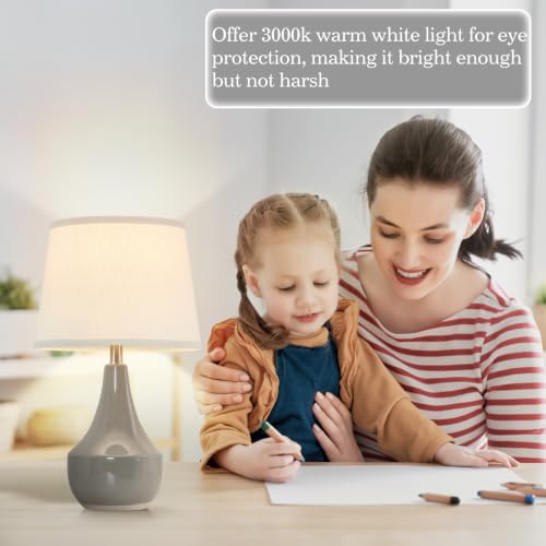 GyroVu 18" Table Lamp Set of 2, Ceramic Table Lamp Classic Beside Lamps Nightstand Lamp Modern Lamp for Living Room, Bedroom & Office Rocker Switch Grey-LED Bulbs Included - color: 18.63" Grey