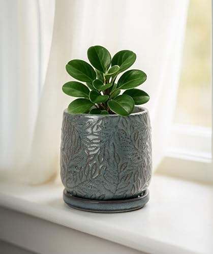 D'vine Dev Embossed Leaves Ceramic Planter, 4 in, Graphite Blue, 27-A-Z-9 - color: Graphite Blue, size: 4 Inch
