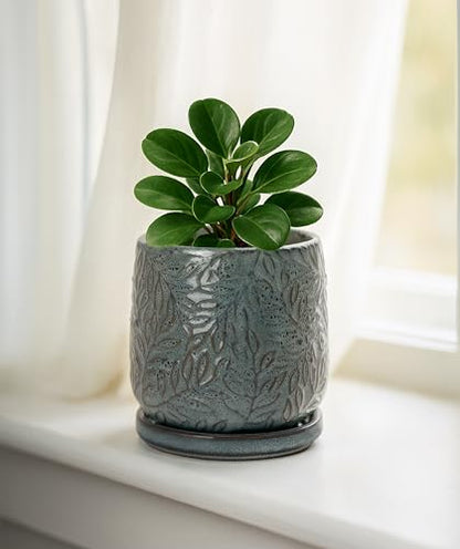 D'vine Dev Embossed Leaves Ceramic Planter, 4 in, Graphite Blue, 27-A-Z-9 - color: Graphite Blue, size: 4 Inch