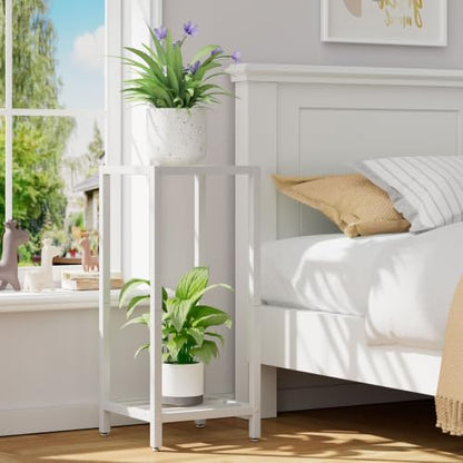 IBUYKE 30 Inch Tall Plant Stand Indoor, 2 Tier Flower Stand, White TMJ070W - color: White-Square
