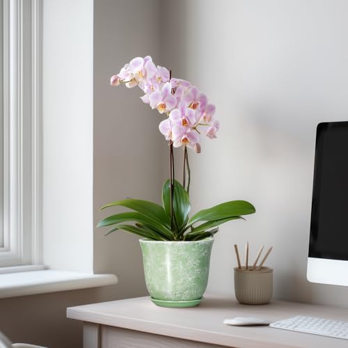 Ceramic Plant Pots, 5.6 Inch Plant Pot with Drainage Hole, Green - color: Gemstone Apple Green, size: 6 Inch