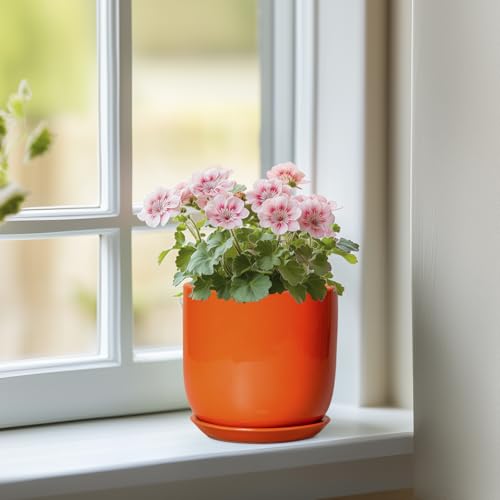 5 Inch Plant Pot - Ceramic Planter for Succulent Cactus Herbs Indoor Plants, Modern Round Flower Pot with Drainage Hole and Saucer, Gifts for Plant Lovers, Patio Office Home Decor, Orange - color: Glossy Orange, size: 5.3 Inch