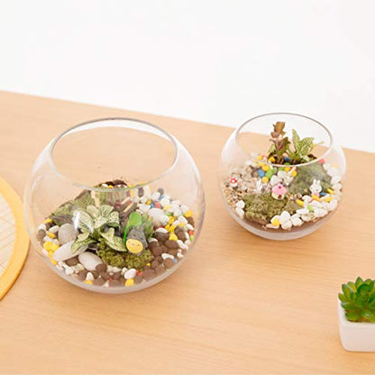 WGV Bowl Glass Vase Bulk, Diameter 8", Height 6.5", Open Width 3.75", (Multiple Sizes Choices) Clear Bubble Planter Terrarium Fish Bowl for Wedding Event Home Decor, 6 Pieces (VBW0008) - size: 8"Dx6.5"H 1 Case