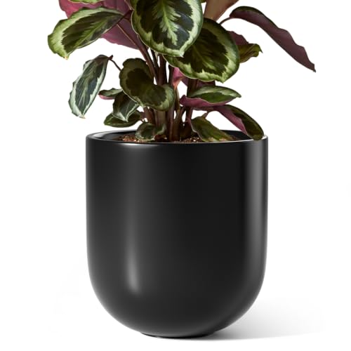 LE TAUCI 8 Inch Ceramic Plant Pot, Indoor Planter, Black - color: Black, size: 8“