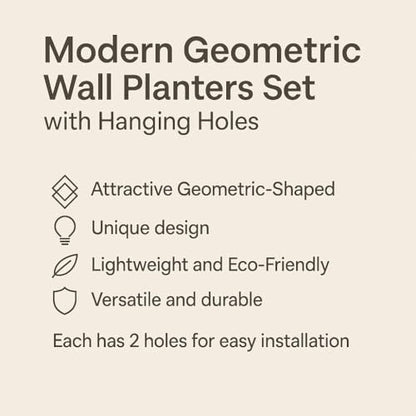 Vertical Garden Wall Planters – 2-Pack Modern Matte Black Geometric Pots for Indoor Plants, Wall Vase, Indoor and Outdoor Use 6"