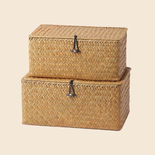 Nonam M&L Seagrass Storage Baskets with Lids, Woven Organizer Bins, Natural - color: Natural-M+L