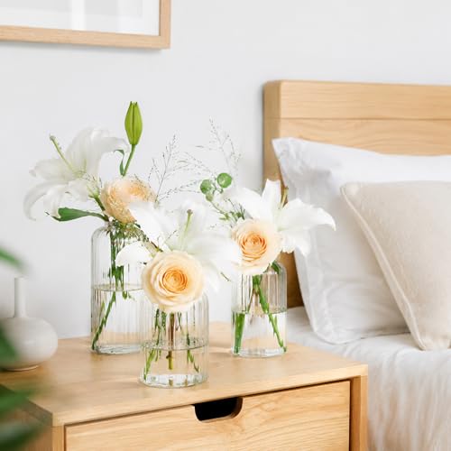 Glass Bud Vases Set of 24, Ribbed Small Flower Glass Vases for Centerpieces - color: Ribbed-24pcs