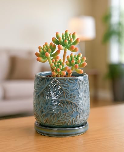D'vine Dev Embossed Leaves Ceramic Planter, 4 in, Ocean Teal, 27-A-Z-8 - color: Ocean Teal, size: 4 Inch