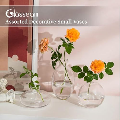 Glasseam Glass Bud Vase for Centerpieces: 12Pcs Clear Mini Small Vases Bulk - color: Clear, size: 4 Sets