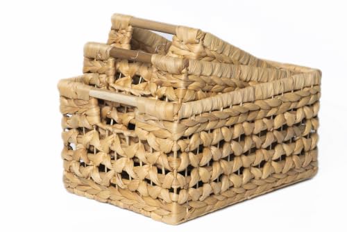 NAYA Set of 3 (13.8",11.6"&9.5") Water Hyacinth Shelf Wicker Baskets - size: Set 3 Small - Medium - Large