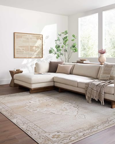 Hauteloom Sinclair Oriental Medallion Area Rug - Vintage Faded Look Traditional Floral Carpet for Living Room, Bedroom, Dining Room - Farmhouse - Beige, Tan, Ivory - 5' x 7'5" - color: Light Gray, Off - White, Dark Brown / Havard, size: 4'11" x 7'5" (Rect