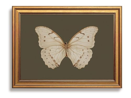 Gold Framed Wall Art, Vintage Butterfly Pictures Wall Decor, Moody Butterfly Canvas Prints, Sage Green Paintings, Retro Artwork for Living Room Bedroom Bathroom Home Decor 8x10 Inch - color: Butterfly, size: 10"L x 8"W