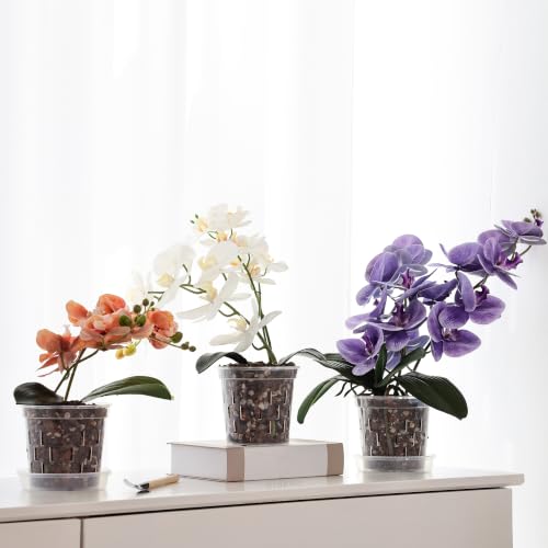 TRUEDAYS Orchid Pot 6 Pack, 2 Each of 4/5/6 Inch Plant Pot with Drainage - size: 4/5/6Inch-6Pack